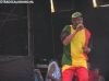 Steel Pulse at Reggae Sundance 2006 07