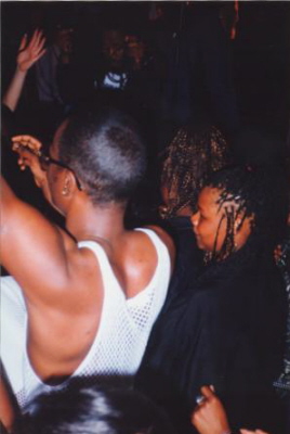 shinehead 1